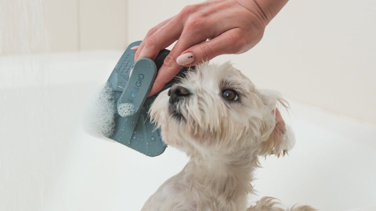 Silikonový kartáč jako revoluční nástroj v péči o zvířecí srst