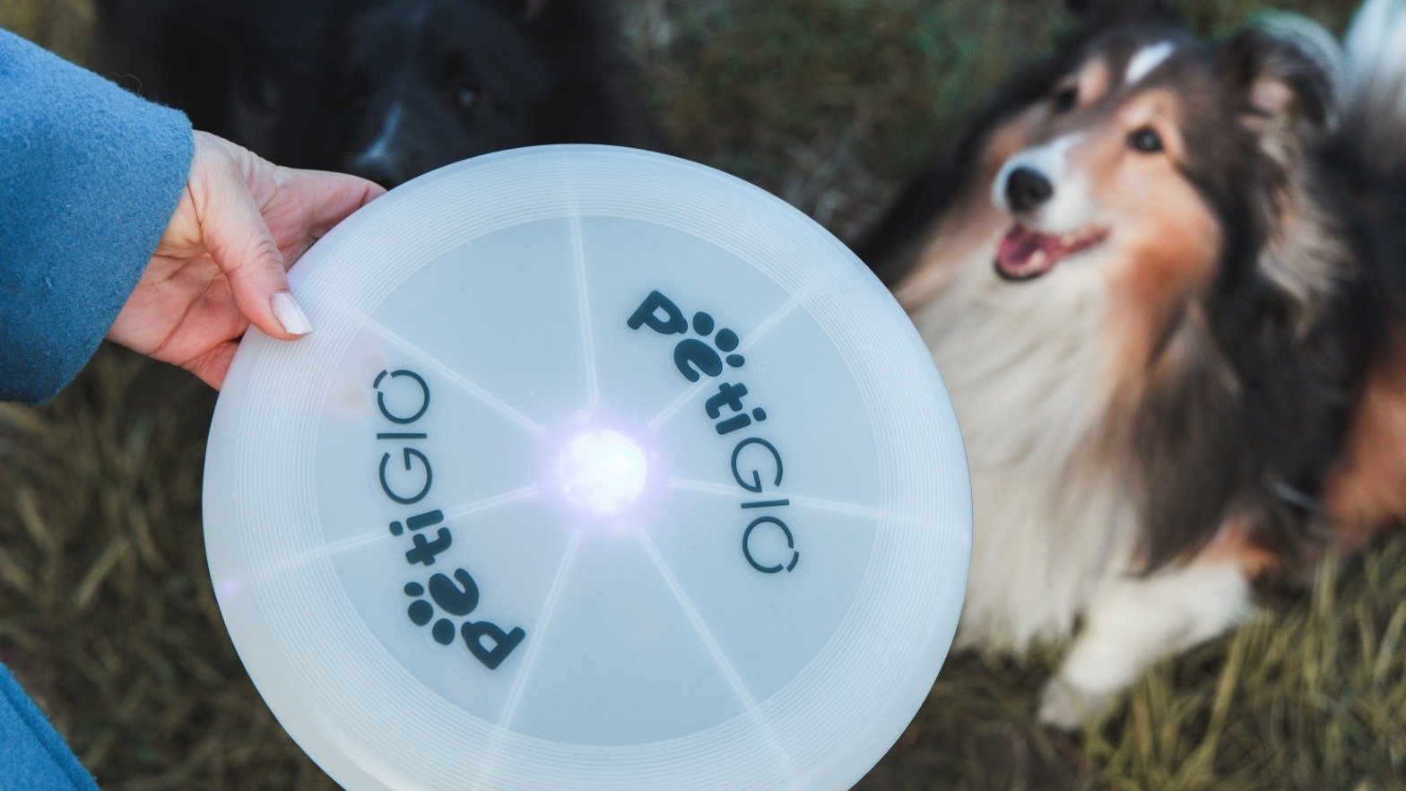 Náš tip pro zabavení psího miláčka