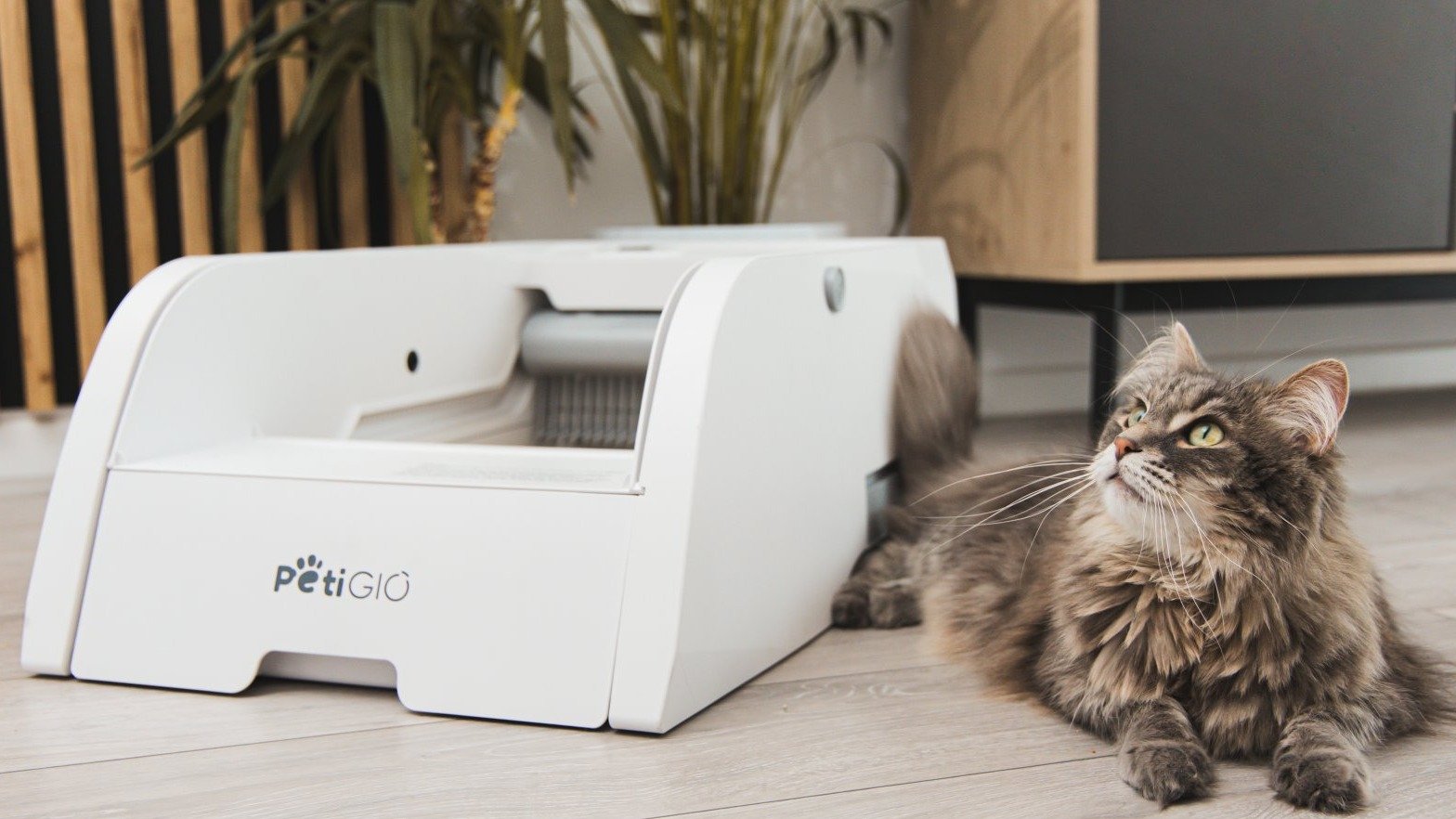 NÁŠ TIP: samočistící toaleta pro kočky