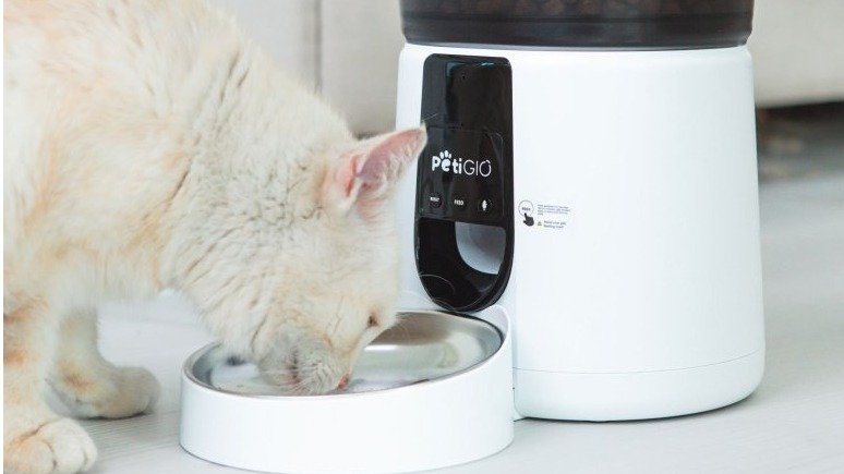 Granule, konzervy a zakázané dobroty: Vše, co potřebujete vědět o výživě svého mazlíčka